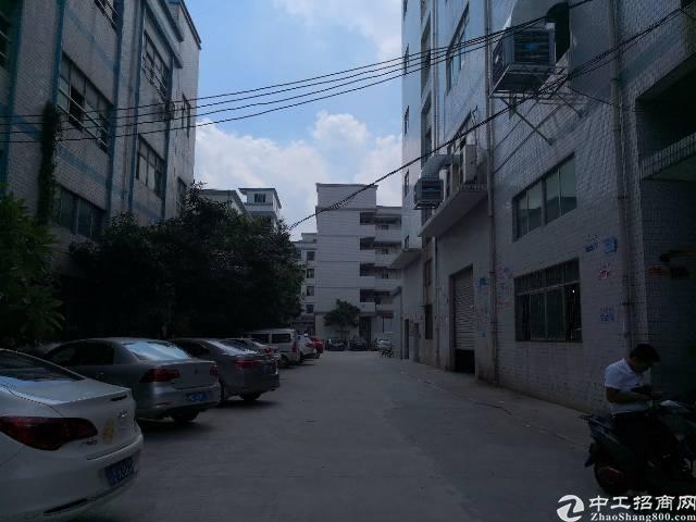 瑞安塘下沙读工业区最新招聘启事，小巷深处的独特风味等你来探索！