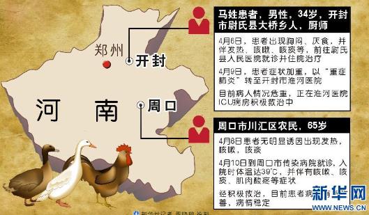 河南H7N9疫情最新动态，关注要点、科普知识与轻松应对策略（2017年）