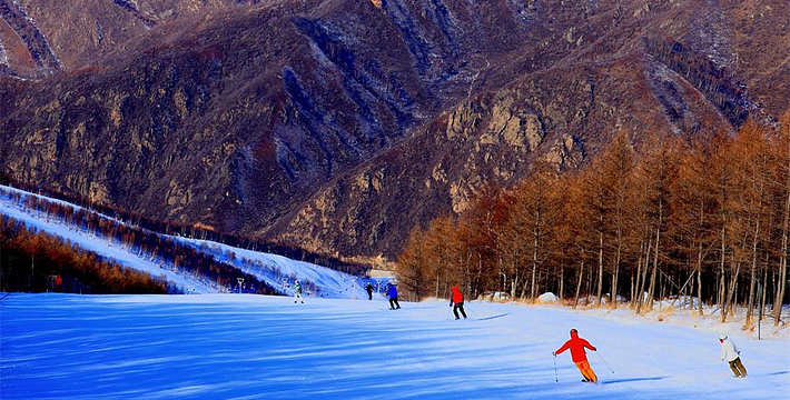 万龙八易滑雪场最新动态，进展、影响与期待全解析