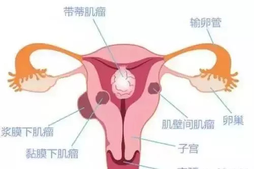 第1208页