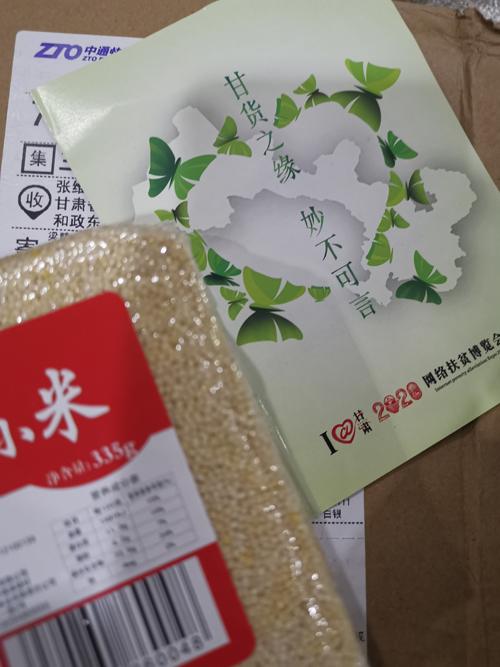 甘肃高考试卷变革，一场教育深度探讨之旅