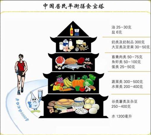 最新居民膳食指南，探寻美食之旅，寻找内心的平和与宁静