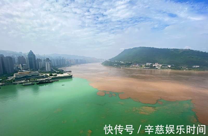 重庆涪陵洪峰最新消息，多方观点分析与个人立场表达