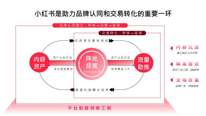 万方发展最新动态，小红书热议话题引领未来趋势