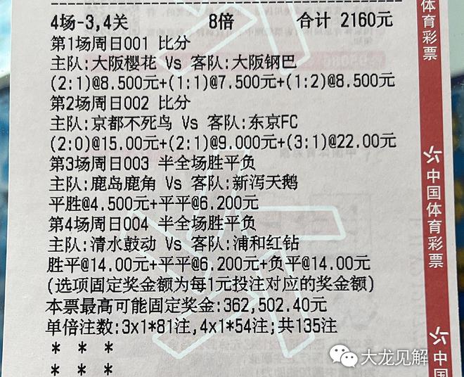 日联杯最新动态更新，赛事进展与最新消息