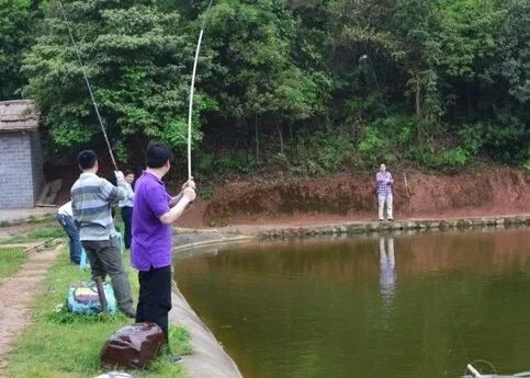 最新村规民钓，垂钓爱好者的法规指南与行为规范