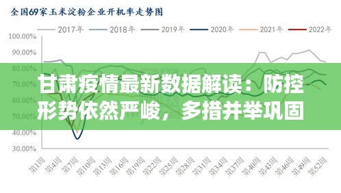 甘肃最新确诊肺炎病例，时代背景下的严峻挑战
