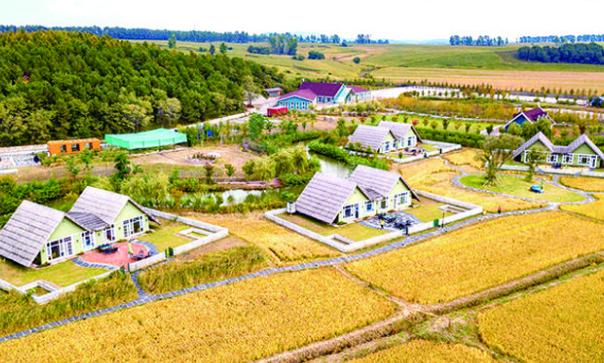 农业最新政策引领农业现代化新征程发展