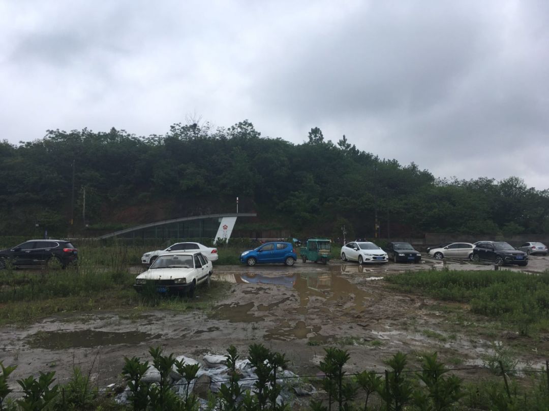 南京东流村最新动态及详细步骤指南