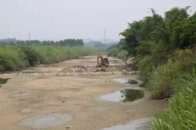 鄱阳饶埠镇，日常趣事与深厚友情纽带最新消息揭秘