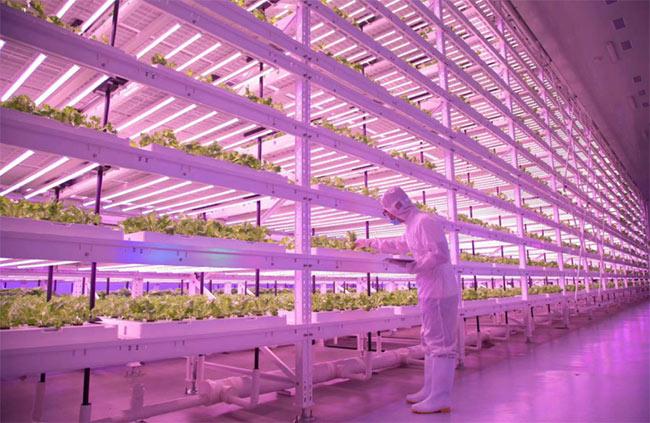 杨凌新闻网科技新品引领未来生活新潮，最新消息震撼登场！
