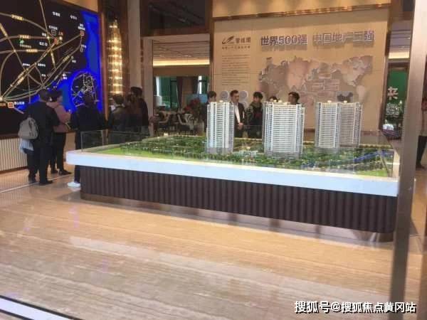 叶瓷沈君默最新章节深度解析与探讨