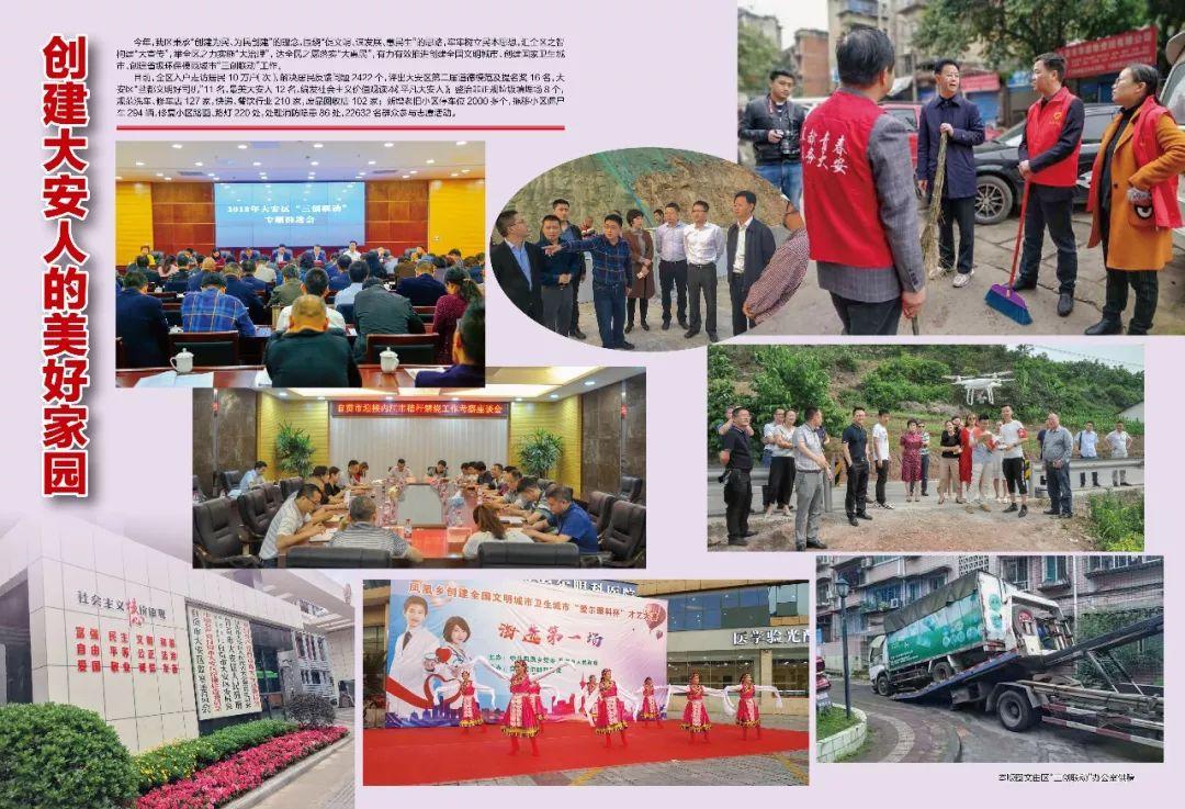 自贡市大安区最新规划详解，观点阐述与解读