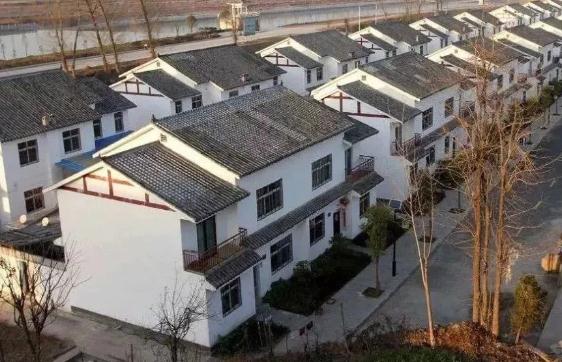 北京水木医学生物发展基金会 第10页