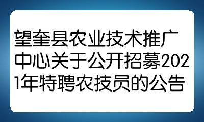 望奎最新招聘信息汇总，热门职位一网打尽！