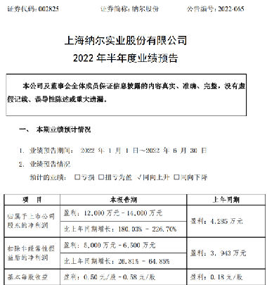 纳尔股份，小巷中的隐藏宝藏，活力四溢的特色小店最新消息